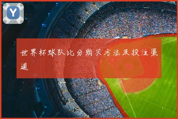 世界杯球队比分购买方法及投注渠道