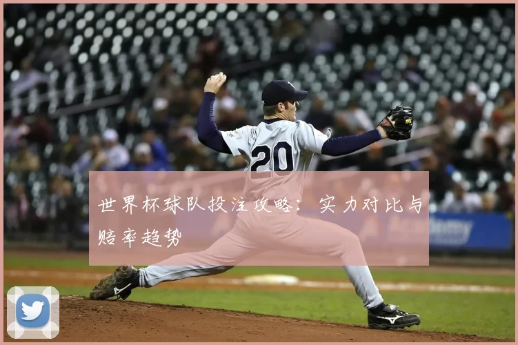 世界杯球队投注攻略：实力对比与赔率趋势