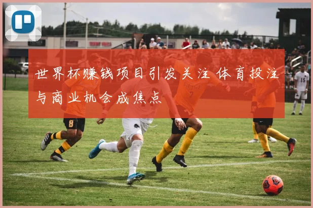 世界杯赚钱项目引发关注 体育投注与商业机会成焦点