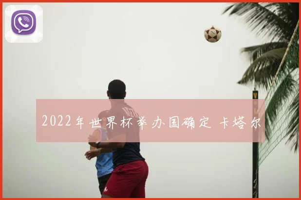2022年世界杯举办国确定 卡塔尔