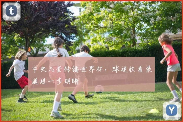 中央几套转播世界杯，球迷收看渠道进一步明晰